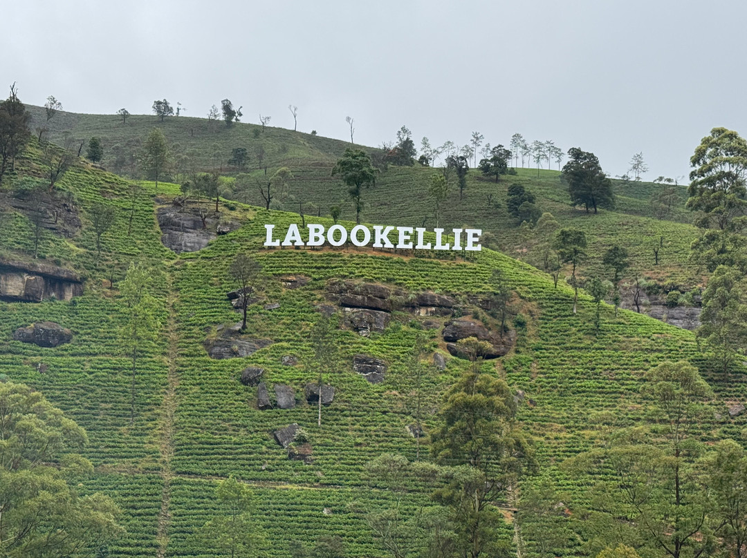 Indika Travel and Tourism Sri Lanka-Kadawata必去景点