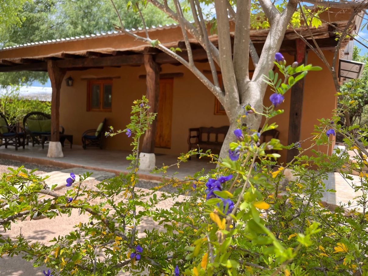 El Pedregal - Hotel en la Naturaleza-度假村/酒店