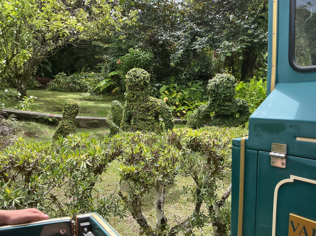 Jardin Botanique de Valombreuse-Petit-Bourg必去景点