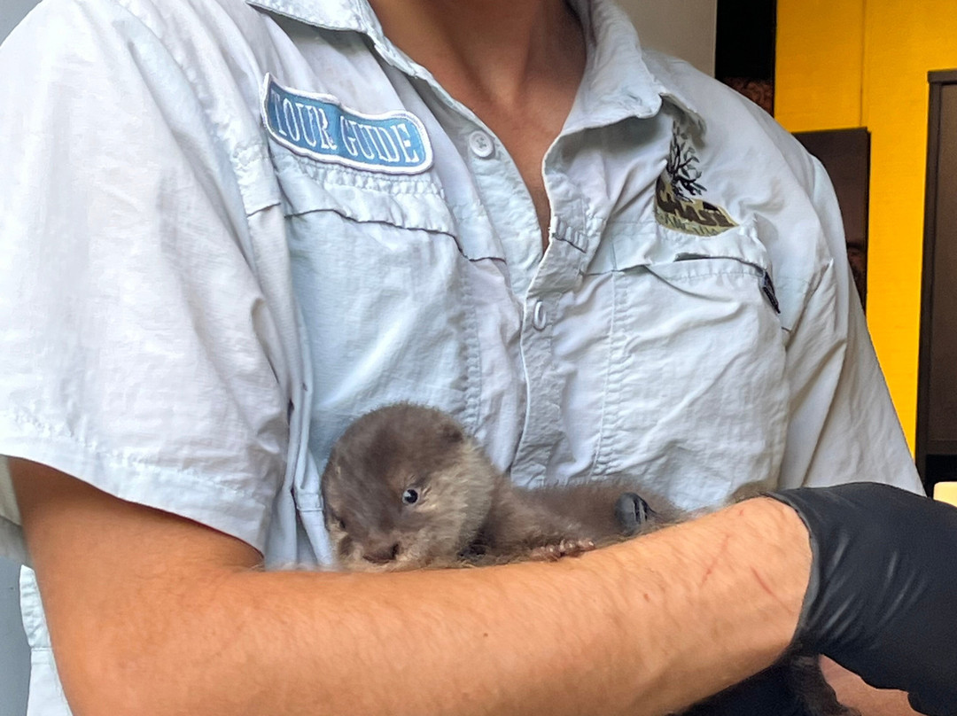 Chase Animal Rescue And Sanctuary-Webster必去景点