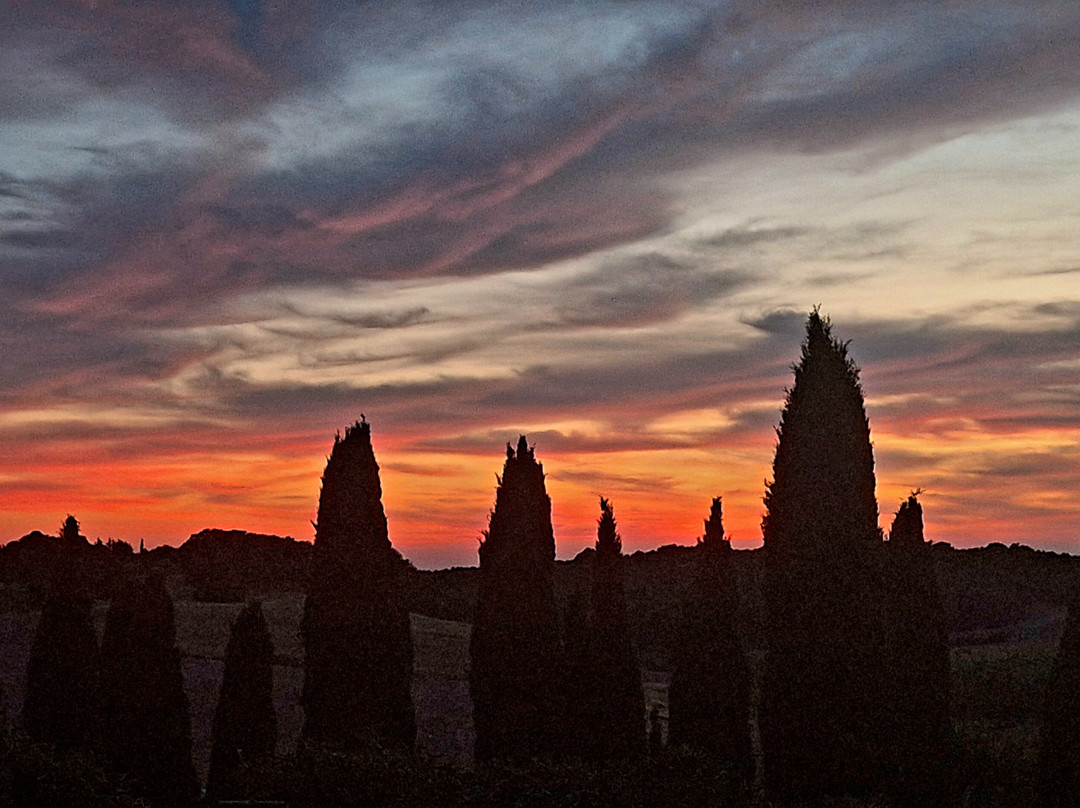 Il Poggio