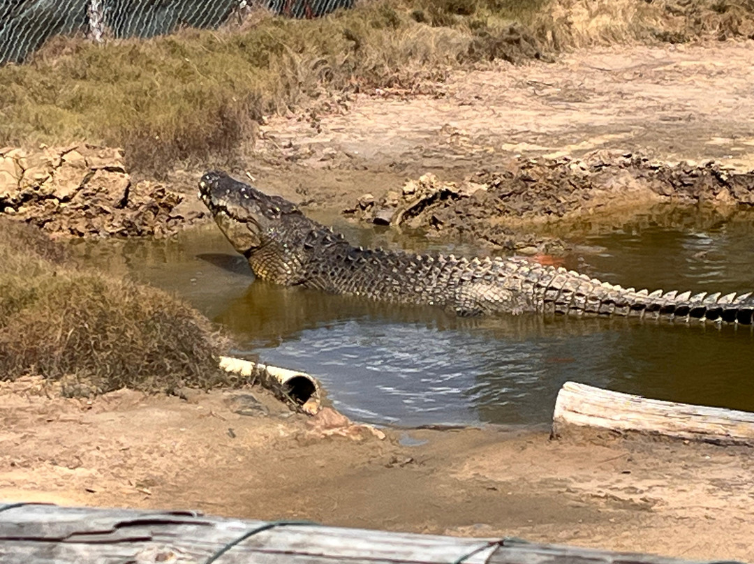 Koorana Crocodile Farm-Coowonga必去景点