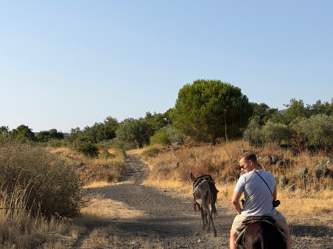 Etna Donkey Trekking-林瓜格洛萨必去景点