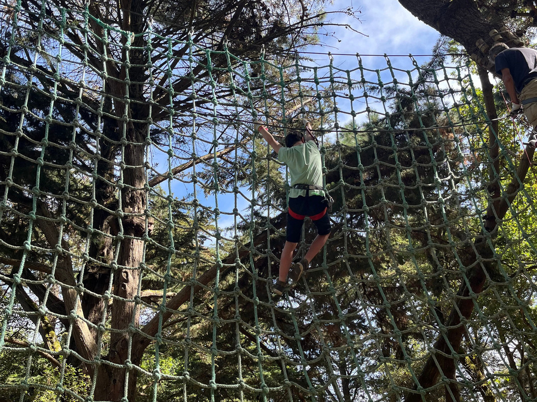 Piriac Adventure Tree climbing-Piriac-sur-Mer必去景点