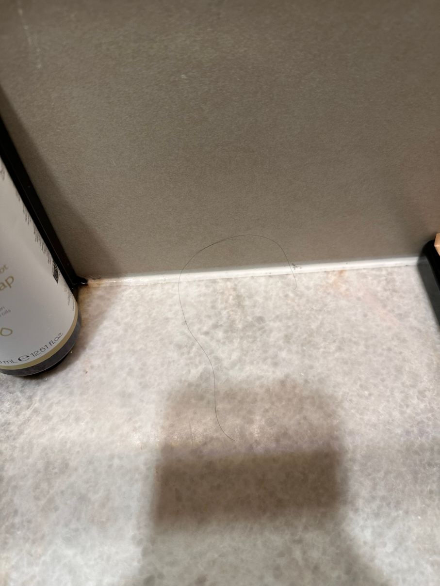 槟城海滩美居酒店-旅行者