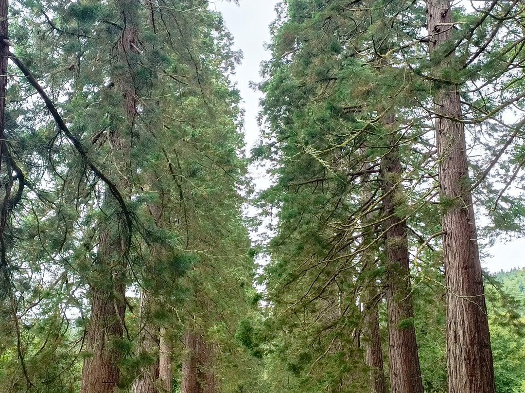 Benmore Botanic Garden-Benmore必去景点