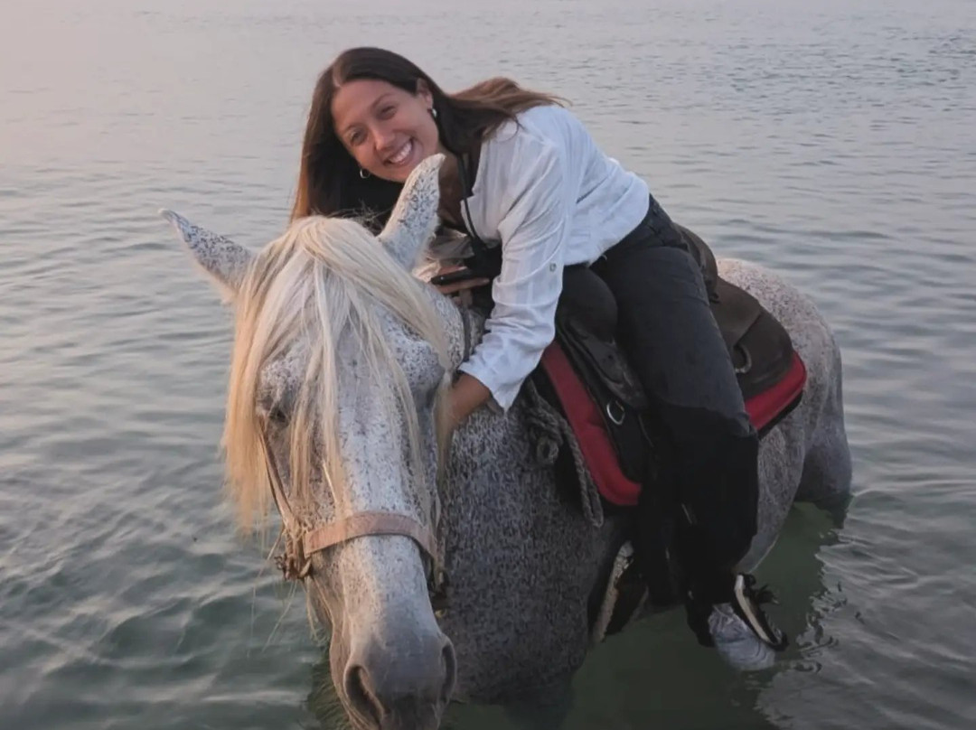 Family Horses 373-5361953-Marina di Ginosa必去景点