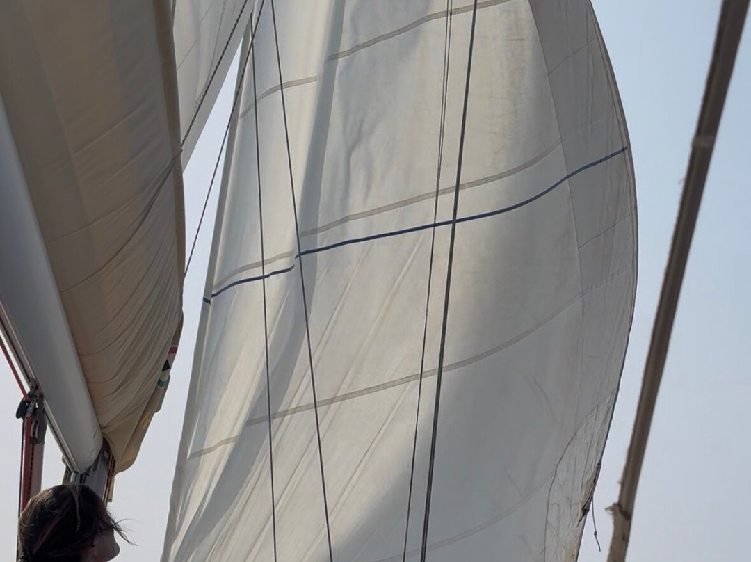 Cilento a Vela-Marina di Camerota必去景点