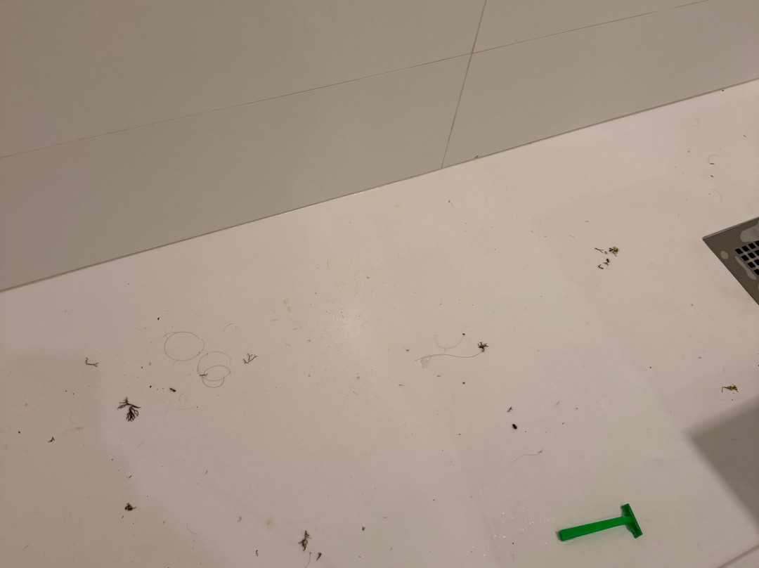 厄尔巴鲸鱼海岸沙滩与海水浴疗酒店主图