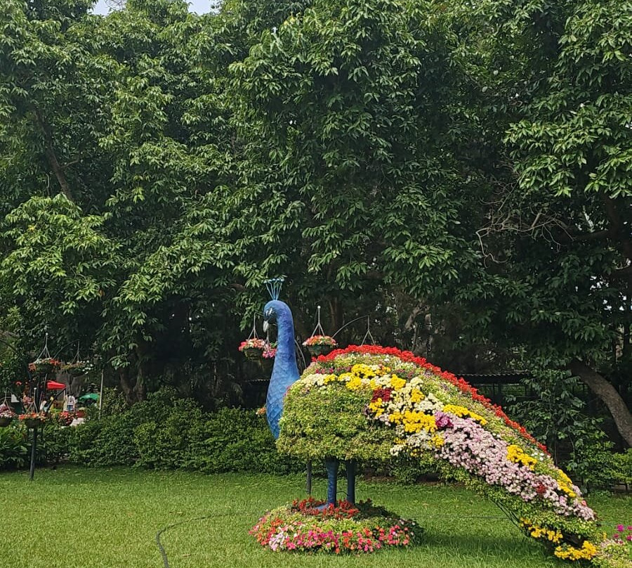 Lalbagh Botanical Garden-班加罗尔必去景点