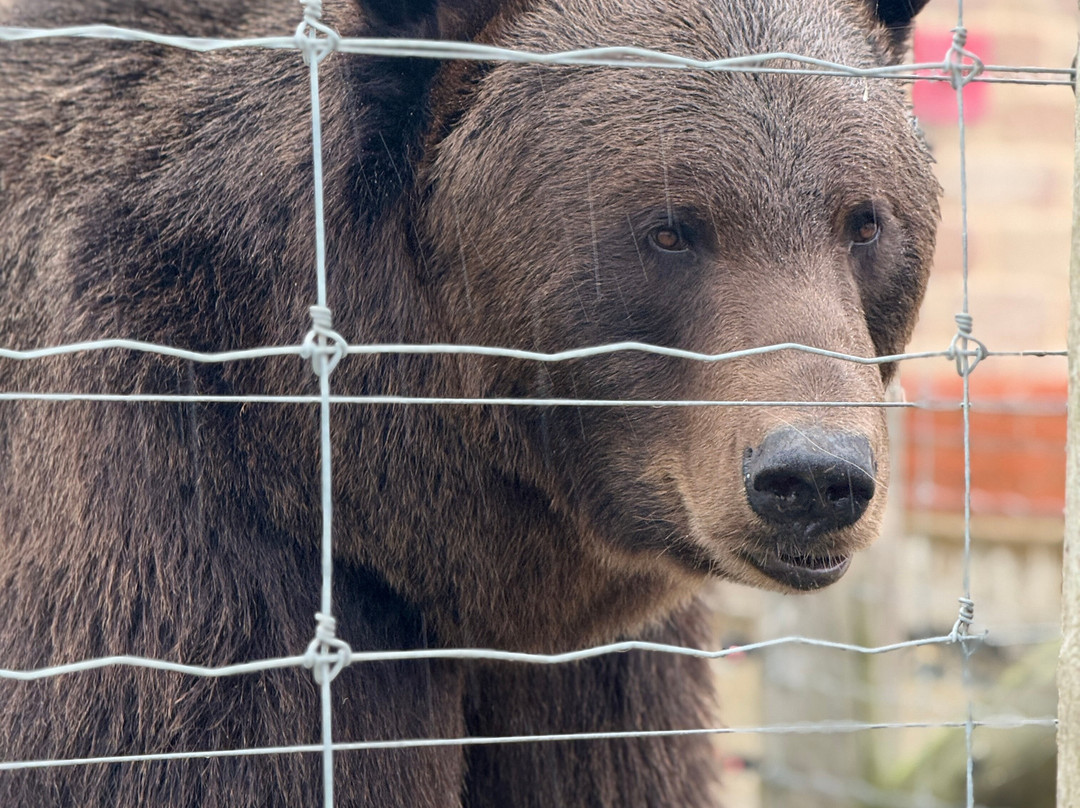 Wolds Wildlife Park-Horncastle必去景点