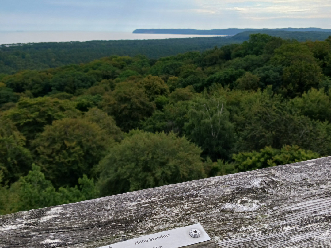 Baumwipfelpfad im Naturerbe Zentrum Rügen-奥茨巴德宾兹必去景点