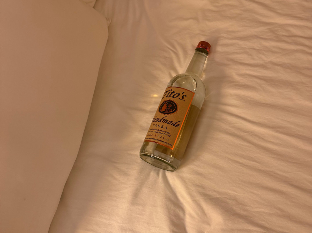 阿梅里福套房酒店 - 沃科尼亚主图