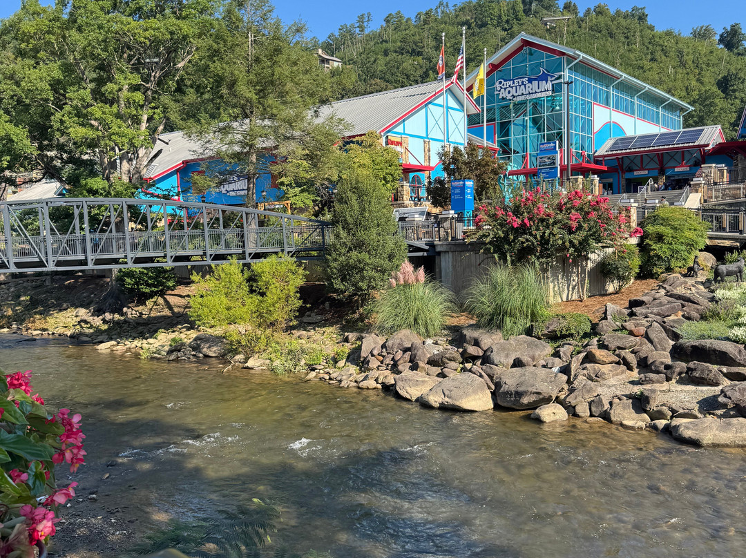 莱利大烟山水族馆-盖林柏格必去景点