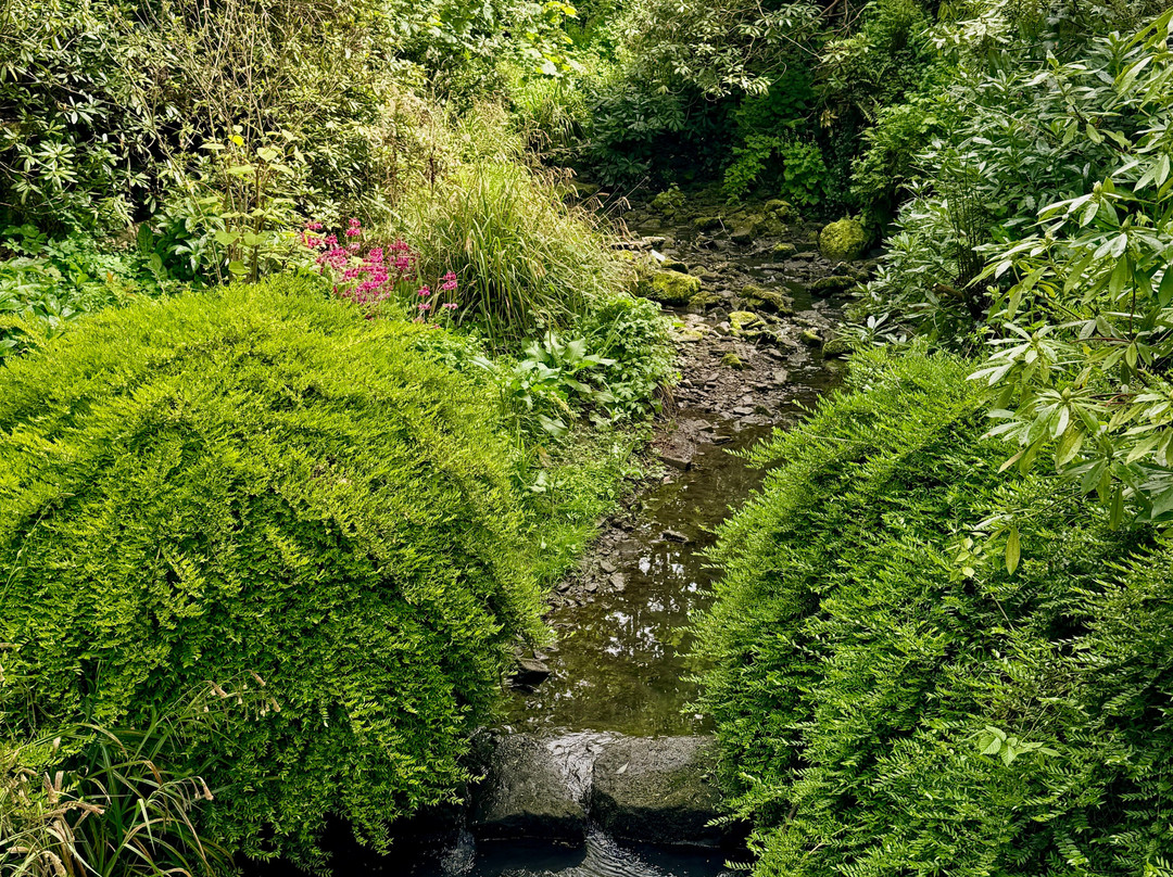 Pittencrieff Park-丹弗姆林必去景点