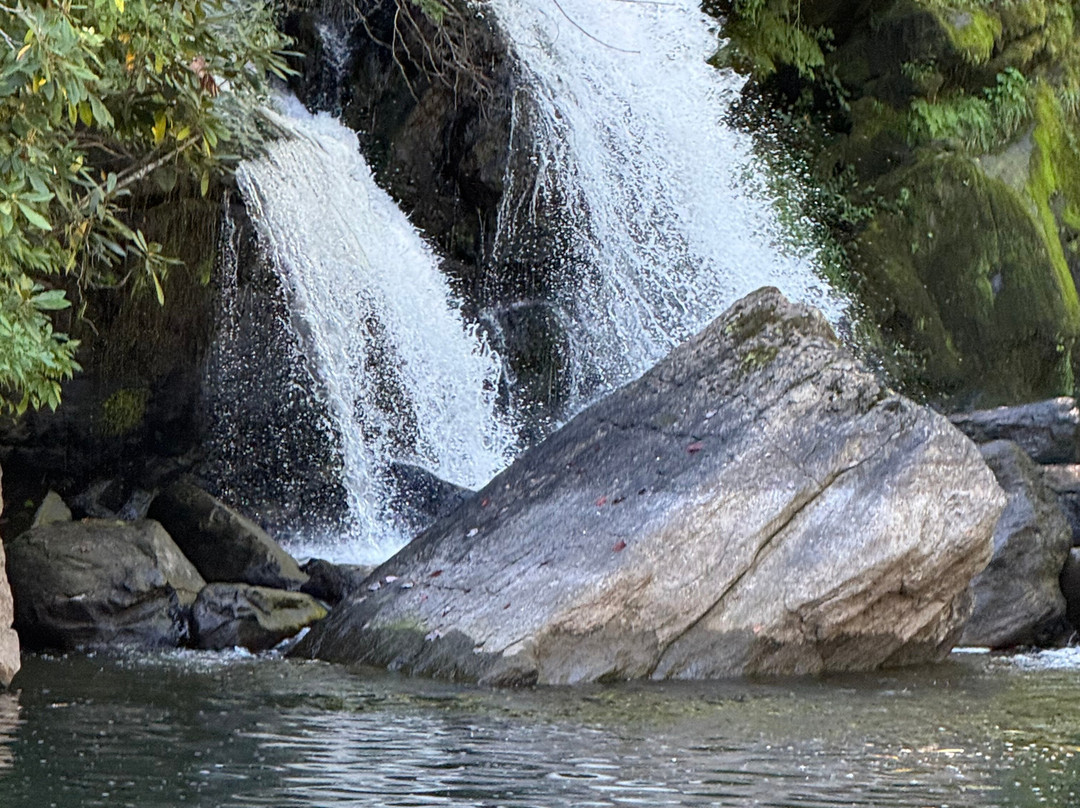 Lake Glenville Scenic Waterfall Cruises-Cashiers必去景点