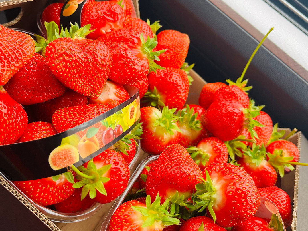Wester Hardmuir Fruit Farm-奈恩必去景点