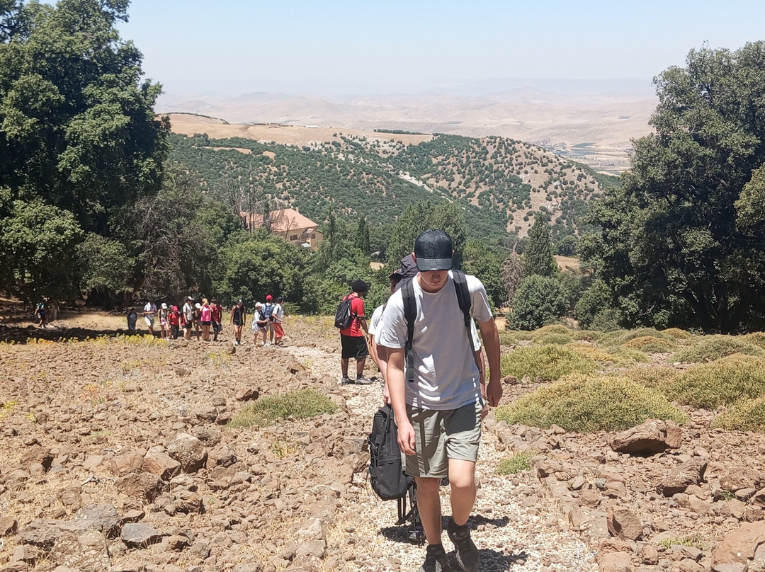 Ifrane National Park-Ifrane必去景点