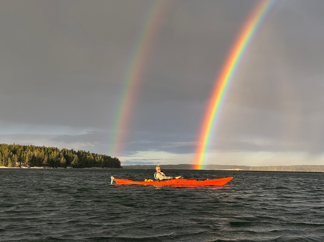 Osprey's Echo Sea Kayaking-Stonington必去景点