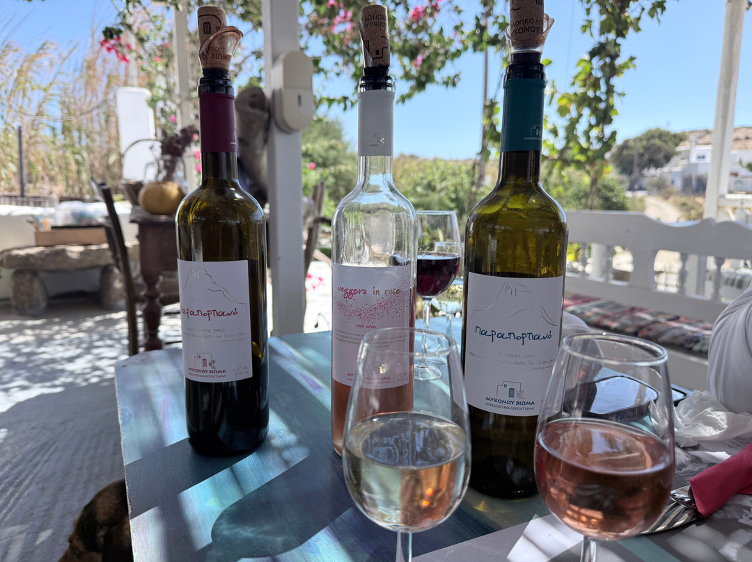 Mykonos Vioma Organic Farm-阿诺梅拉村必去景点
