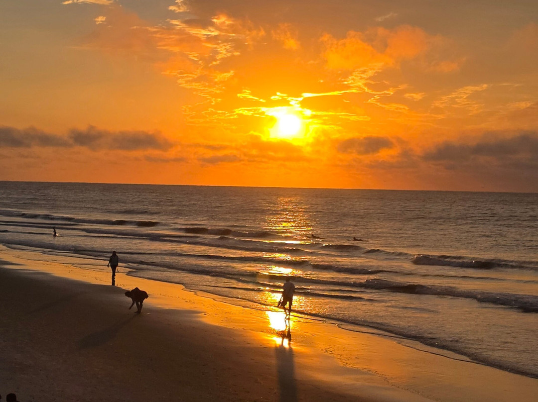 Isle of Palms Beach-棕榈岛必去景点