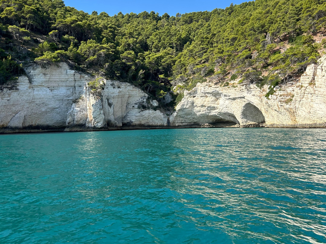 Costante Nicola Agenzia Tour Delle Grotte-佩斯基奇必去景点