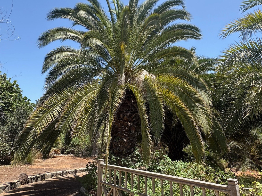 Botanical Park of Maspalomas (El Parque Botanico de Maspalomas)-马斯帕洛马斯必去景点