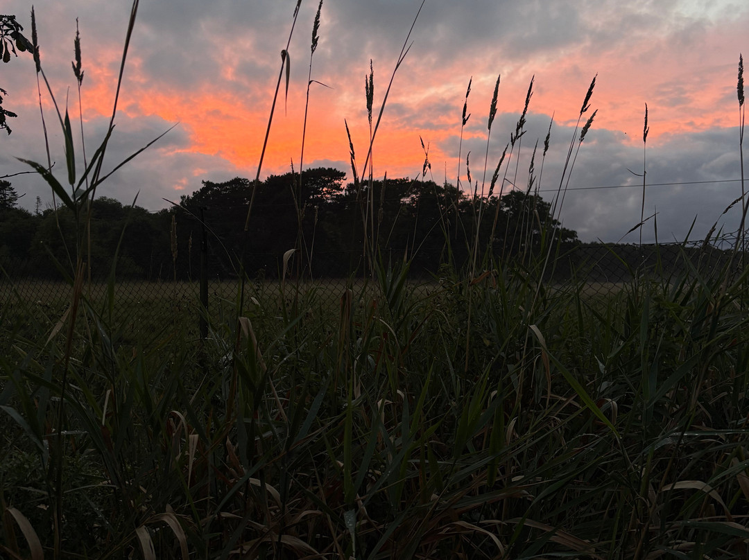 Knuthenborg Safaripark-马里博必去景点