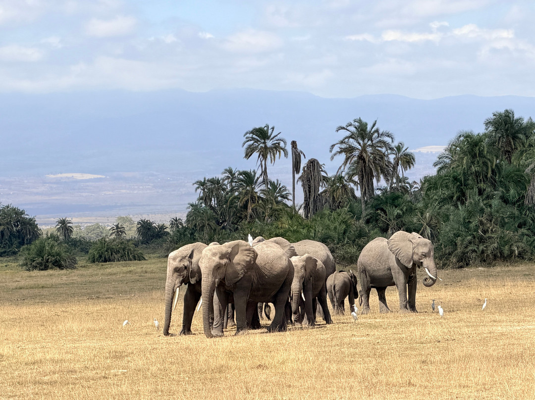 Cherish Africa Safaris-Kikuyu必去景点