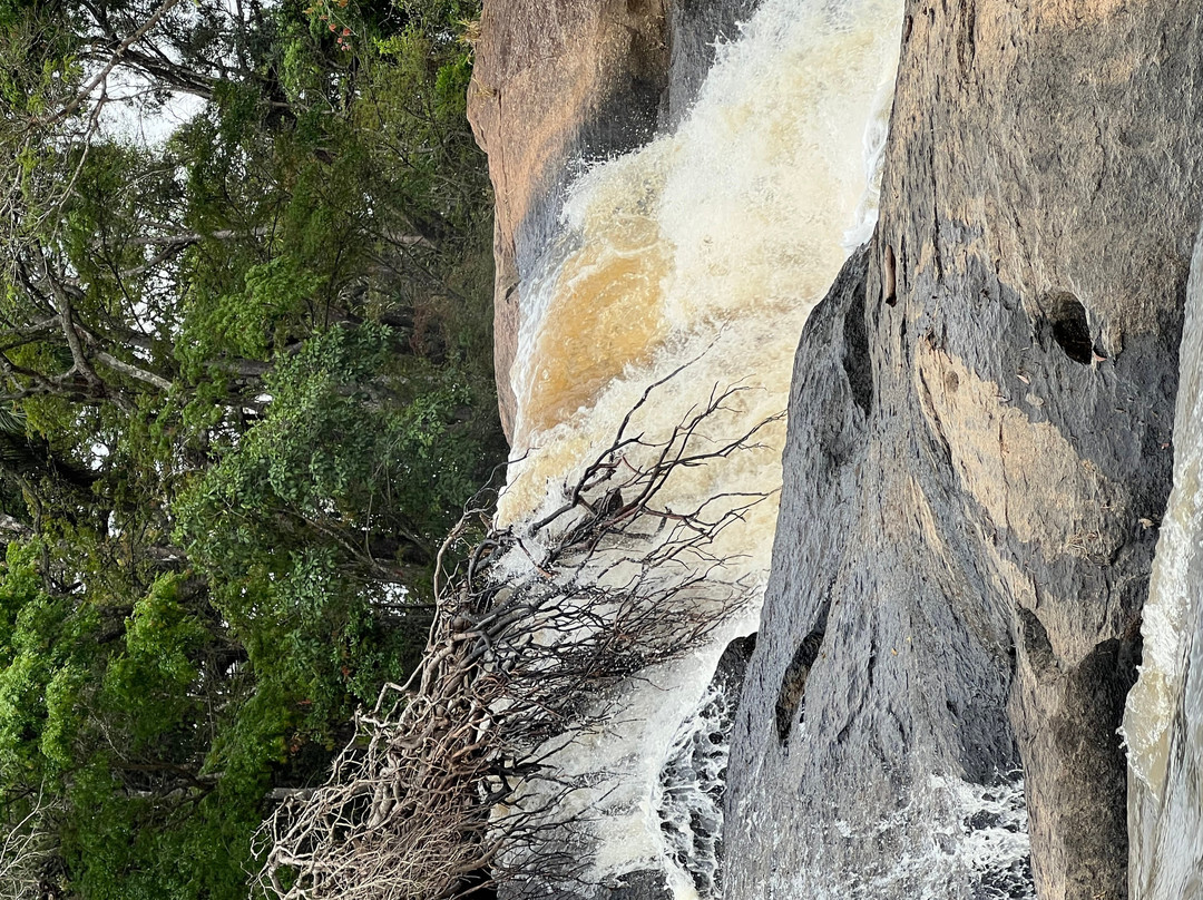 Parque Natural Terra das Cachoeiras-Bueno Brandao必去景点
