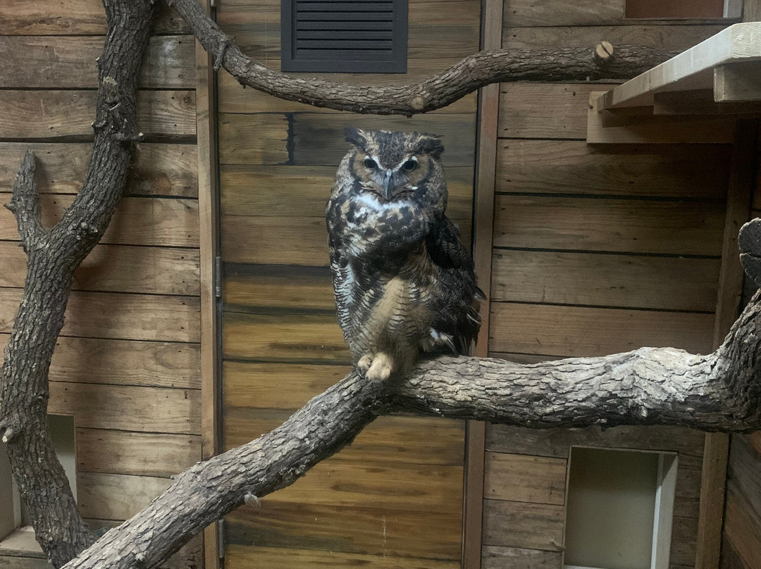 Oklahoma City Zoo and Botanical Garden-俄克拉何马城必去景点