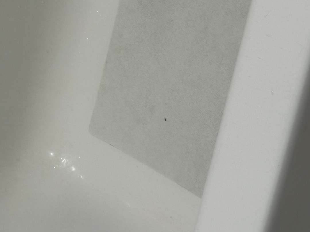 德索托海滩酒店主图
