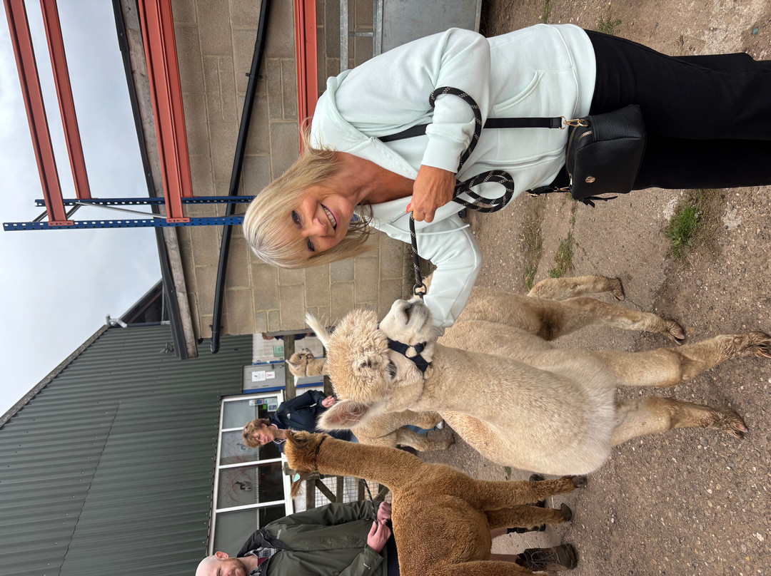 Charnwood Forest Alpacas-Boundary必去景点