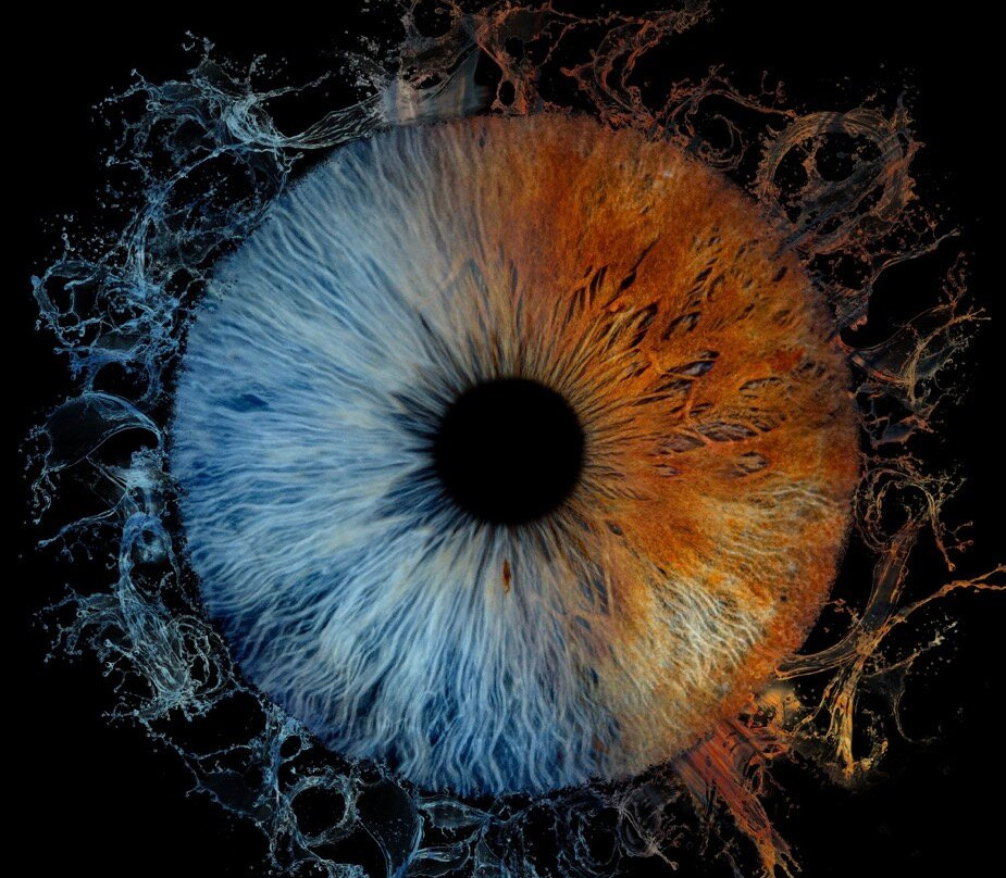 Iris Galerie Maastricht-马斯特里赫特必去景点