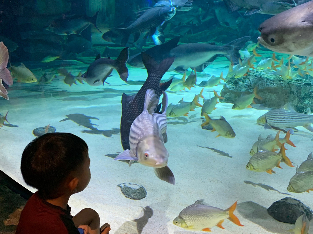 Angkor Wildlife & Aquarium-暹粒必去景点