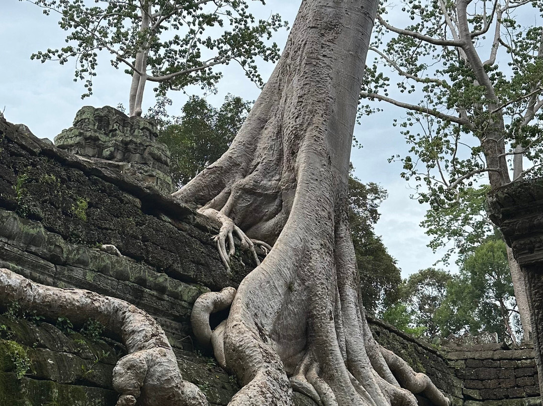 Angkor en Espanol-暹粒必去景点