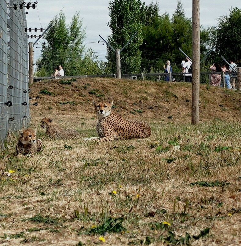 Yorkshire Wildlife Park-Auckley必去景点
