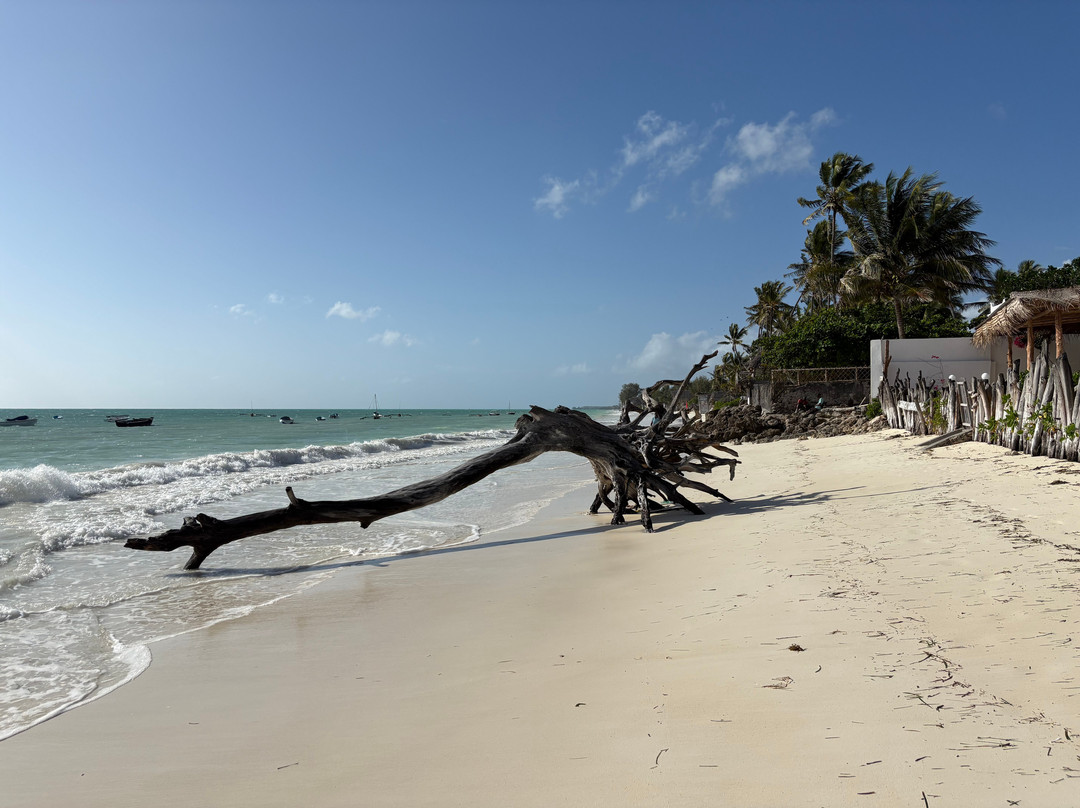 Nalini Safari & Tours-Spanga必去景点