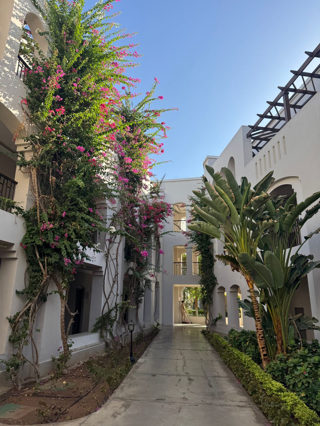 阿尔卡萨施柏阁酒店-旅行者
