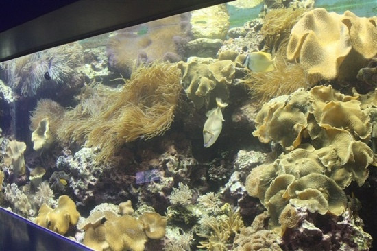 重庆江北海洋公园