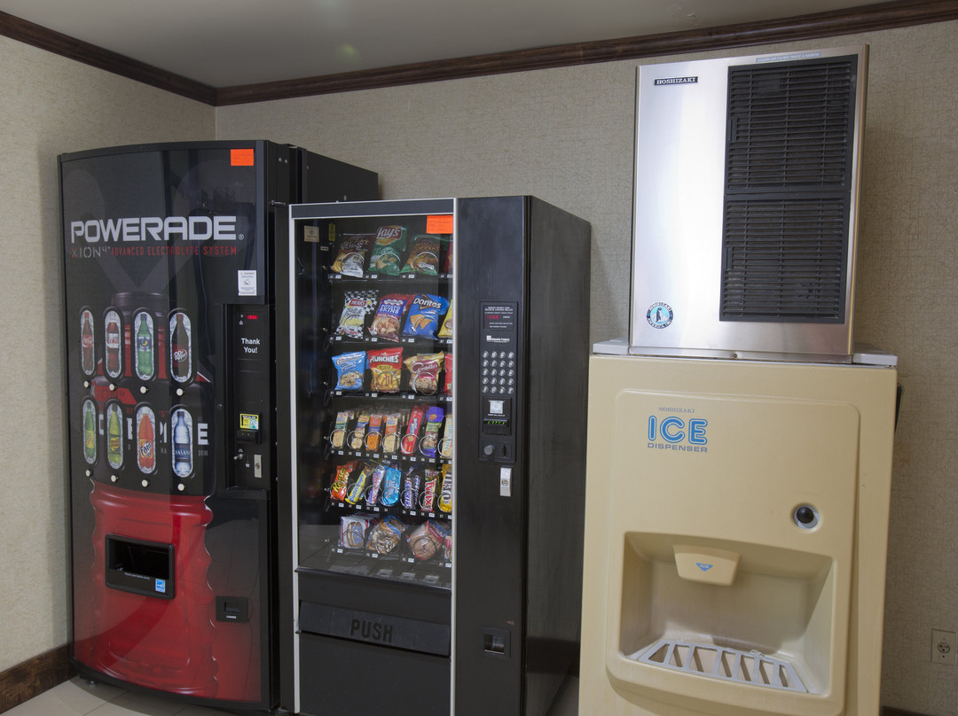 新阿尔巴尼快捷假日酒店主图