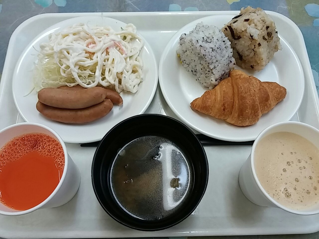 Toyoko Inn Tsuruga ekimae