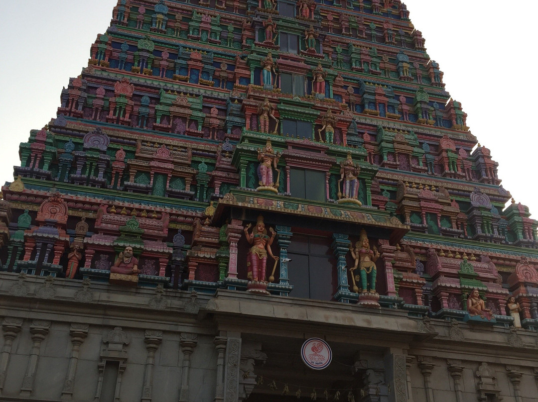 Chikkamagaluru District旅游攻略图片