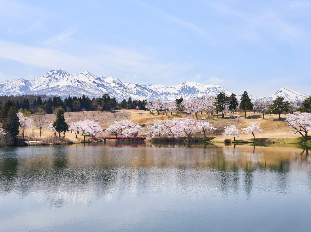 Matsugamine no Sakura-上越市必去景点