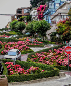 九曲花街景点门票图片