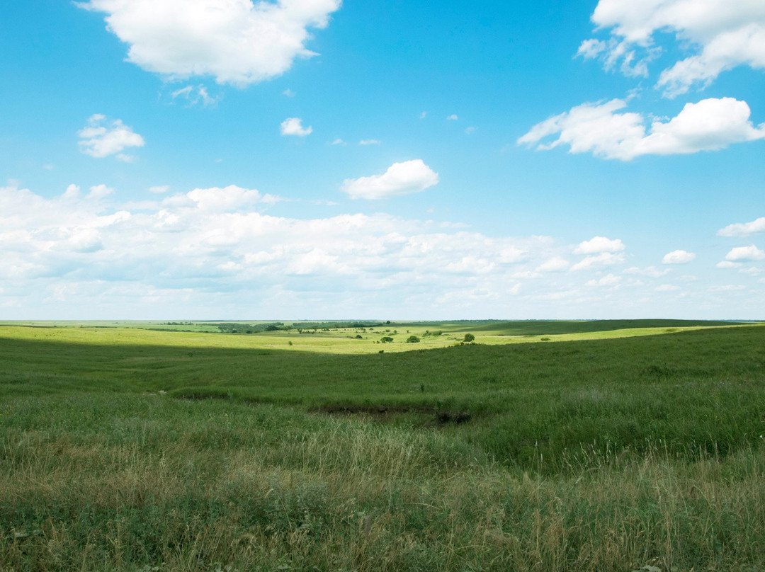 Joseph H. Williams Tallgrass Prairie Preserve-Pawhuska必去景点