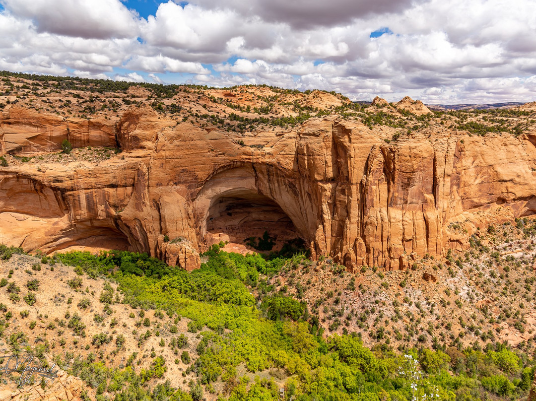 Navajo National Monument景点图片