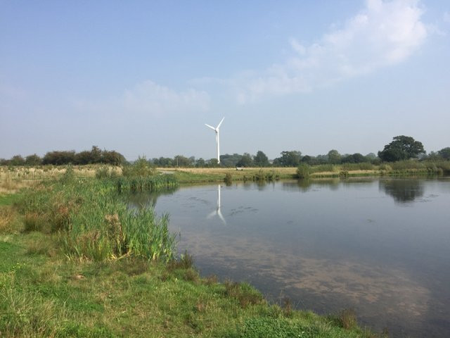 Queen Elizabeth Diamond Jubilee Wood