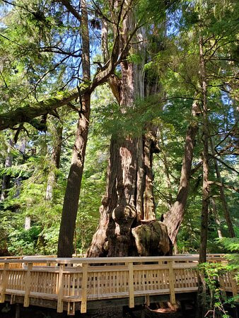 Cedar Wetlands Preserve-Rockaway Beach必去景点