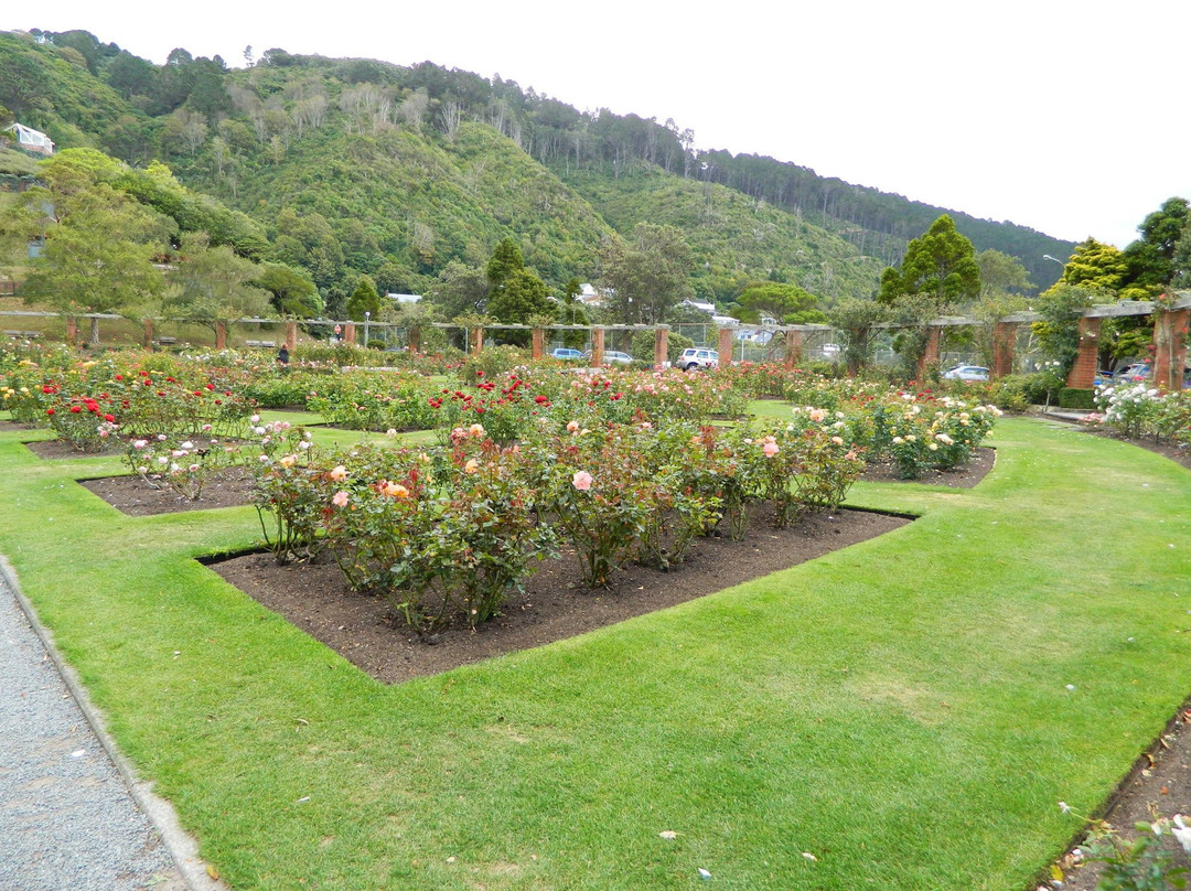 Lady Norwood Rose Garden景点图片